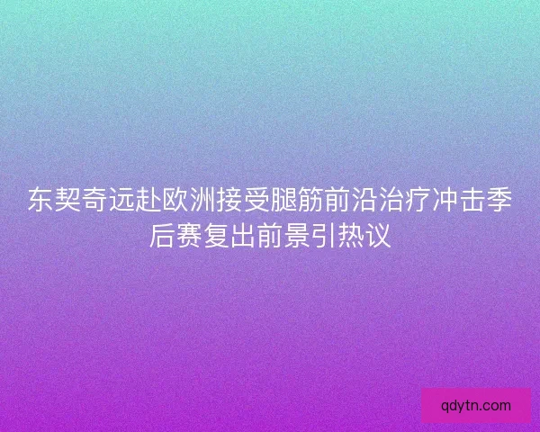 东契奇远赴欧洲接受腿筋前沿治疗冲击季后赛复出前景引热议