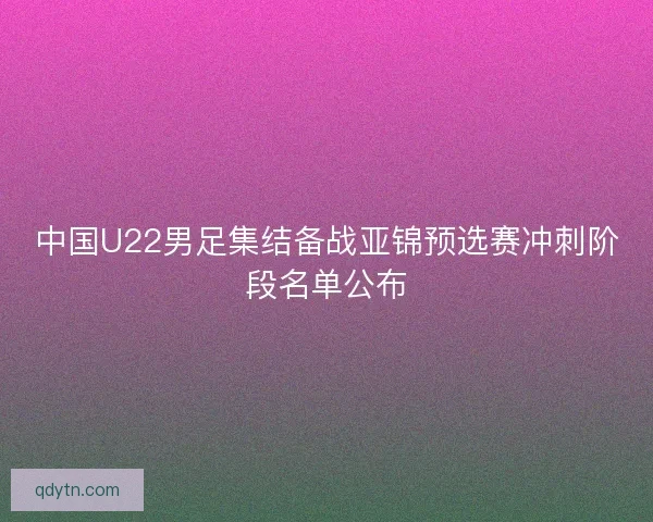 中国U22男足集结备战亚锦预选赛冲刺阶段名单公布
