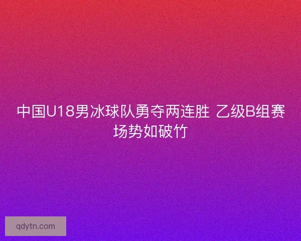中国U18男冰球队勇夺两连胜 乙级B组赛场势如破竹