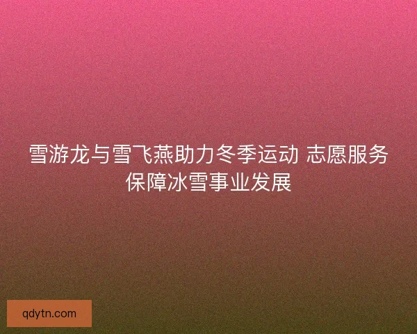 雪游龙与雪飞燕助力冬季运动 志愿服务保障冰雪事业发展 雪游龙与雪飞燕助力冬季运动 志愿服务保障冰雪事业发展